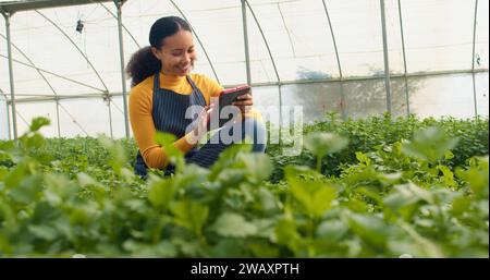 Multi-ethnic woman checks crop quality, records in digital tablet, farm analysis Stock Photo