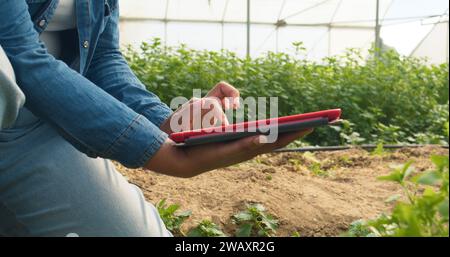 Close up of woman's hands using digital tablet on farm, greenhouse tunnels Stock Photo