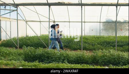 Two farmers walking across greenhouse tunnel, vegetable farming, left to right Stock Photo