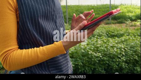 Close up of woman's hands using digital tablet on farm, greenhouse tunnels Stock Photo