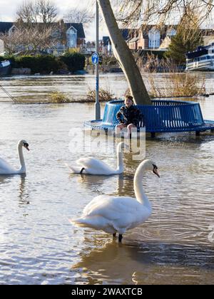 Boy And Swans, Flooding, Christchurch Meadows, Caversham, Reading