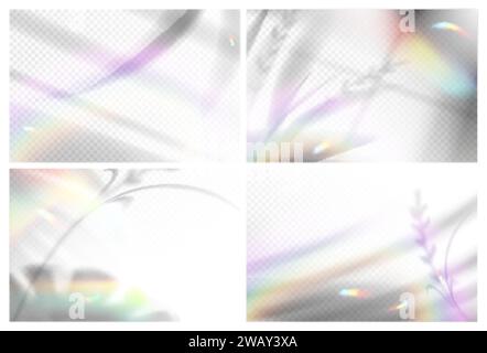 Realistic palm leaves with shadow overlay and blurred rainbow light prism effect on transparent background. Sunlight shade from window, tropical plant branch silhouette and lens flare on wall. Stock Vector