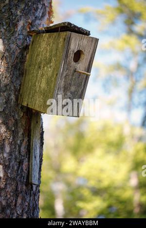 Wooden brown old birdhouse on a trunk of a tree in the park. A house for the birds. Bird feeder. Copy space Stock Photo