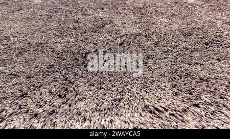 Straw pattern of roof or wall. Thatched roof texture background. Stock Photo