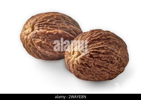 Two brown nutmegs close up isolated on white background Stock Photo