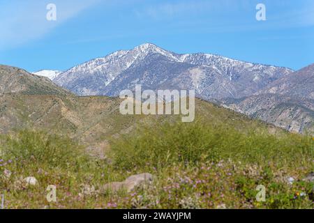 Landscape view of snow on the San Gorgonio Mountain from the Mission Creek Preserve in Desert Hot Springs, California Stock Photo