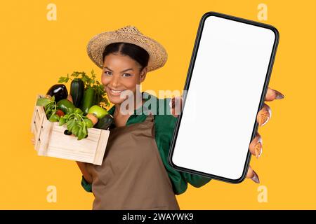 Black Farmer Lady Holding Box With Fresh Harvest And Phone Stock Photo