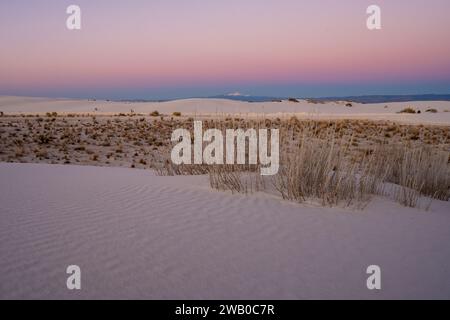 Soft Pink Sunset Over The Vegitation Of White Sands National Park Stock Photo