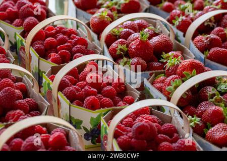 Baskets of fresh sweet organic red strawberries and raspberries for sale at a supermarket. The ripe berries are stored in cardboard baskets. Stock Photo