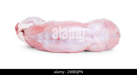 Whole fresh raw rabbit isolated on white Stock Photo