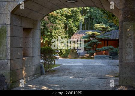Nagoya, Japan - November 20, 2007: The view from the Shomon (front) gate  to the sanctuary with the beautiful artistically shaped pine tree in front o Stock Photo