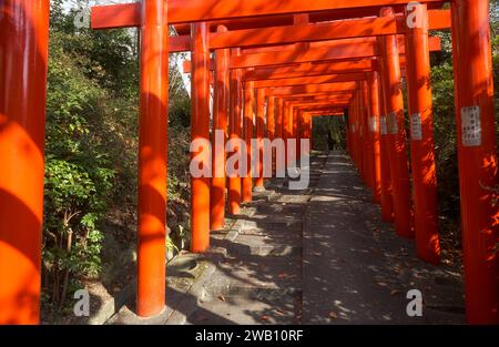 Nagoya, Japan - November 20, 2007: The view of the bright  vermilion torii gates at Nagoya Branch of Chiyo Inari Shrine. Nagoya. Japan Stock Photo
