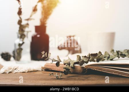 Dried Eucalyptus branches and leaves on the table. Stock Photo