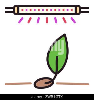 Sprout and Phytolamp vector Grow Light concept colored icon or symbol Stock Vector