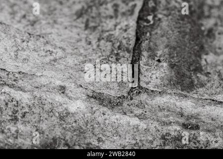 A closeup of a stone wall texture in grayscale Stock Photo