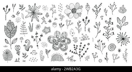 sketch Set Herbs and Wild Flowers. Hand drawn floral. Vector ...