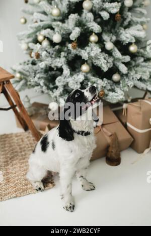 Happy dog sitting in front of a christmas tree with presents Stock Photo