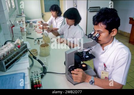 Indonesia, Jakarta - Laboratory technicians working in a hospital laboratory. Stock Photo