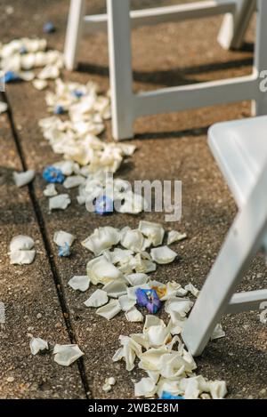 White rose petals on cement floor along wedding ceremony aisle Stock Photo