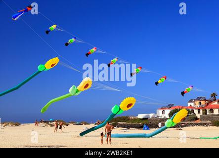 Kite flying, La Concha Beach, El Cotillo, Fuerteventura, Canary Islands, Spain. Stock Photo