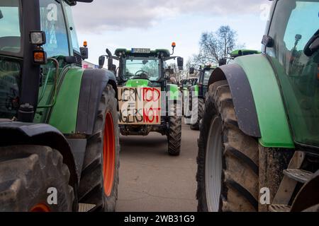 Bauernproteste in Ludwigshafen am Rhein: Große Kundgebung von Landwirten aus der Südpfalz und der Vorderpfalz an der Friedrich-Ebert-Halle *** Farmers protests in Ludwigshafen am Rhein Large demonstration by farmers from the Southern Palatinate and the Vorderpfalz at the Friedrich Ebert Halle Copyright: xx Stock Photo