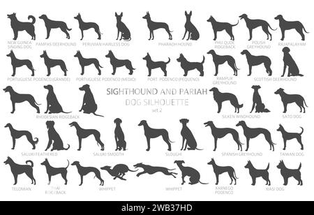 Dog breeds silhouettes simple style clipart. Hunting dogs Sightounds and pariah dogs collection.  Vector illustration Stock Vector