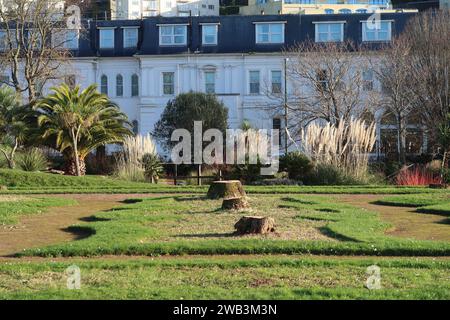 The stumps of the iconic palm trees in Abbey Park Gardens (Italian Gardens) on the seafront at Torquay, South Devon. Stock Photo