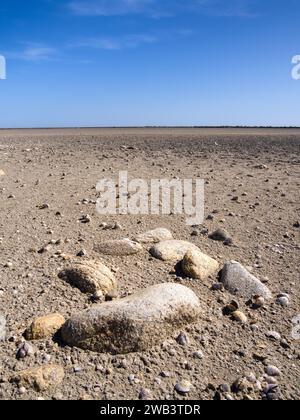 The Camargue is a nature reserve - alluvial plain in Provence in the south of France. Image of an arid landscape in autumn Stock Photo