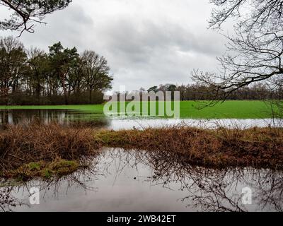 Utrecht, Netherlands. 06th Jan, 2024. A field is seen flooded. Due to the heavy rainfall and high water levels, lots of agricultural fields are flooded. The soil is no longer able to absorb water, and a lot of trees have been falling over because the roots are rot. This weekend, the temperatures have severely dropped giving a high chance of ice formation, and ice skating may become possible on natural ice. (Photo by Ana Fernandez/SOPA Images/Sipa USA) Credit: Sipa USA/Alamy Live News Stock Photo