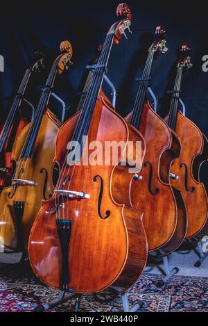 A row of violins arranged neatly on a stand in a room. Stock Photo