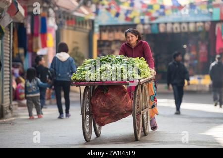 Kathmandu, Nepal- April 20,2019 : Vegetables trader on the street of Kathmandu. Stock Photo