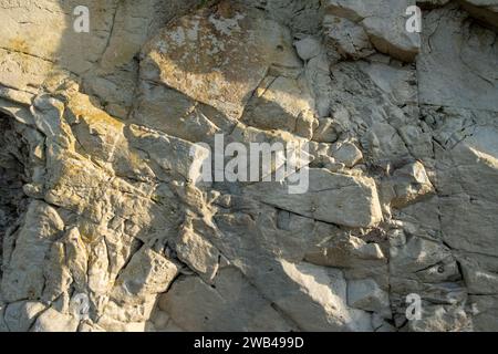 This image is a close-up study of a section of cliffside rock, showcasing the intricate textures and layers formed over geological time. The play of light and shadow emphasizes the rugged surface and the varying tones of the rock. The photograph captures the minute details such as the grain, fissures, and lichen growth, providing a glimpse into the natural processes that shape our coastal landscapes. The warm sunlight suggests either early morning or late afternoon, times when the angle of light can reveal the most detail in the rock's surface. Textures of Time: Cliffside Geology. High quality Stock Photo