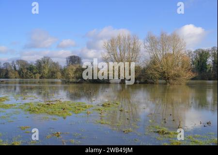 Flooded meadow in the Cherwell Valley Oxfordshire England UK Stock Photo