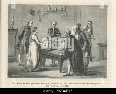 In 1780, the Italian physicist Luigi Galvani discovered the irritability of frog muscles caused by electricity.  Illustration from 'Les Merveilles de la science ou description populaire des inventions modernes' written by Louis Figuier and published in 1867 by Furne, Jouvet et Cie. Stock Photo