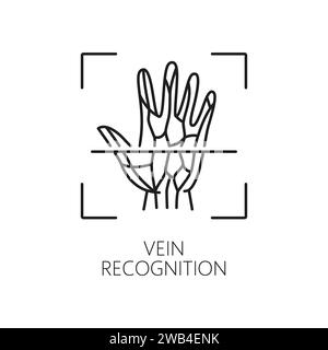 Vein recognition, Biometric identification, and verification icon. Isolated vector linear sign, featuring intertwining veins on hand inside of scanning frame. Advanced authentication for secure access Stock Vector