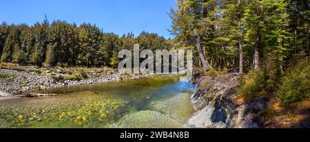 Borland Burn River next to the Borland Nature Walk in the World Heritage Area of Fiordland National Park, Te Waipounamu (South Island), Aotearoa (New Stock Photo