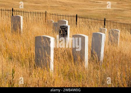 U.S. soldier headstone markers at Last Stand Hill, Little Bighorn Battlefield National Monument, Montana Stock Photo