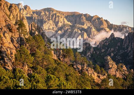 Conifers and mountains at sunrise between I Paliri and Conca, GR20, Corsica, France Stock Photo