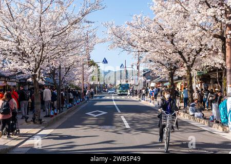 People enjoying cherry blossoms in Arashiyama district. Kyoto, Japan Stock Photo
