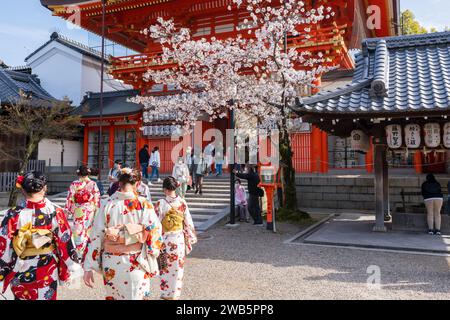 Kyoto, Japan - March 27 2023 : Cherry blossom in Yasaka Jinja Shrine. Stock Photo