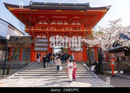 Kyoto, Japan - March 27 2023 : Cherry blossom in Yasaka Jinja Shrine. Stock Photo