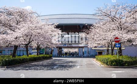 Kyoto, Japan - March 27 2023 : Cherry blossom in Nijo Station. Stock Photo