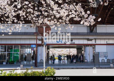 Kyoto, Japan - March 27 2023 : Cherry blossom in Nijo Station. Stock Photo