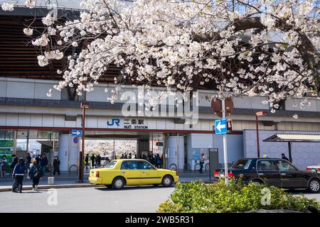 Kyoto, Japan - March 27 2023 : Cherry blossom in Nijo Station. Stock Photo