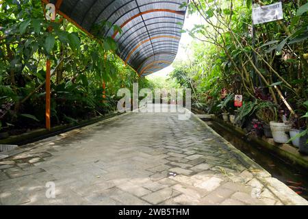 Environmentally friendly paving path with healthy plants around it - Environmentally friendly eco-paving Stock Photo