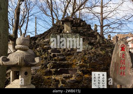 Seiryu Jinja Fujizuka standing along Sakaigawa River is an old shrine built in 1196.  It dedicates Oowatatsumi no Kami, a god of the sea because Uraya Stock Photo