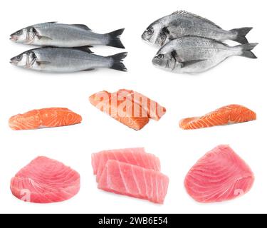 Different types of raw fish isolated on white, set Stock Photo