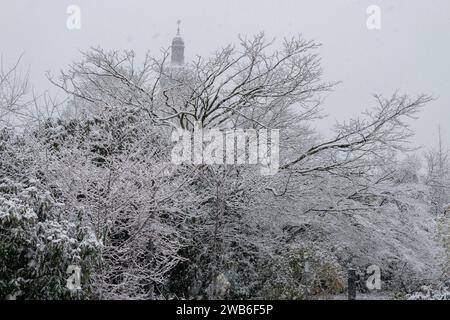 Saint Gallen, Switzerland, November 28, 2023 Plants covered with fresh fallen snow at the botanical garden Stock Photo