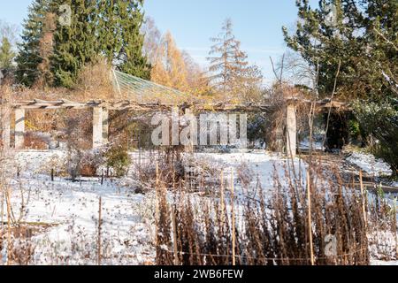 Saint Gallen, Switzerland, November 29, 2023 Romantic winter landscape at the botanical garden Stock Photo