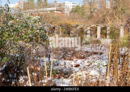 Saint Gallen, Switzerland, November 29, 2023 Romantic winter landscape at the botanical garden Stock Photo